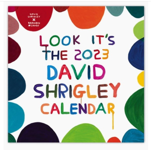 David Shrigley 2023 Wall Calendar Paper Tiger