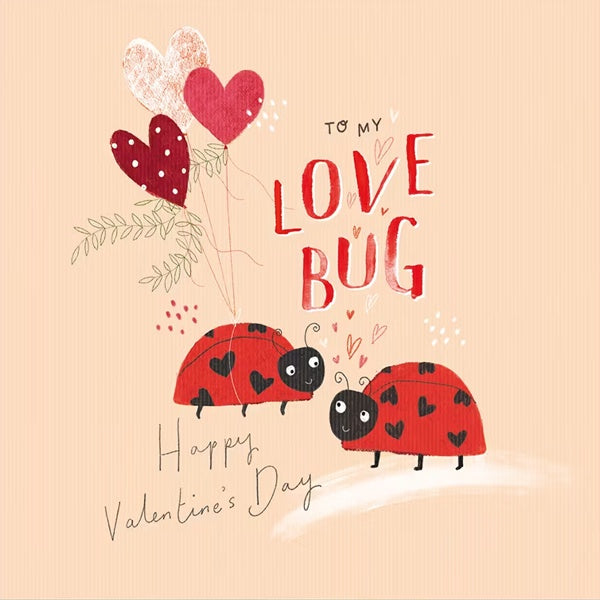 To My Love Bug Valentine's Day Card