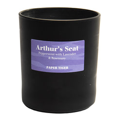 Arthur's Seat Glass Tumbler Candle by Paper Tiger