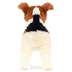 Hector Fox Terrier