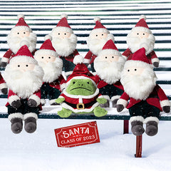 Santa Ricky Rain Frog