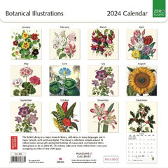 Botanical Illustrations 2024 Wall Calendar