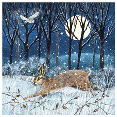 Hare, Moon and Owl Box of 8 Christmas Cards