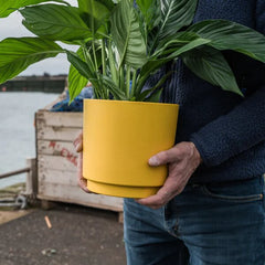 Orange Large Ocean Plastic Pot