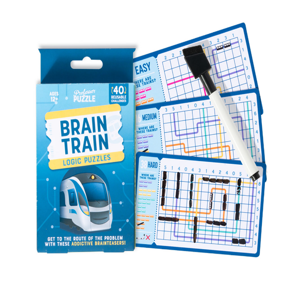 Brain Train Logic Puzzle