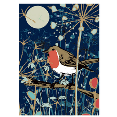 Winters Tale Robin Advent Card