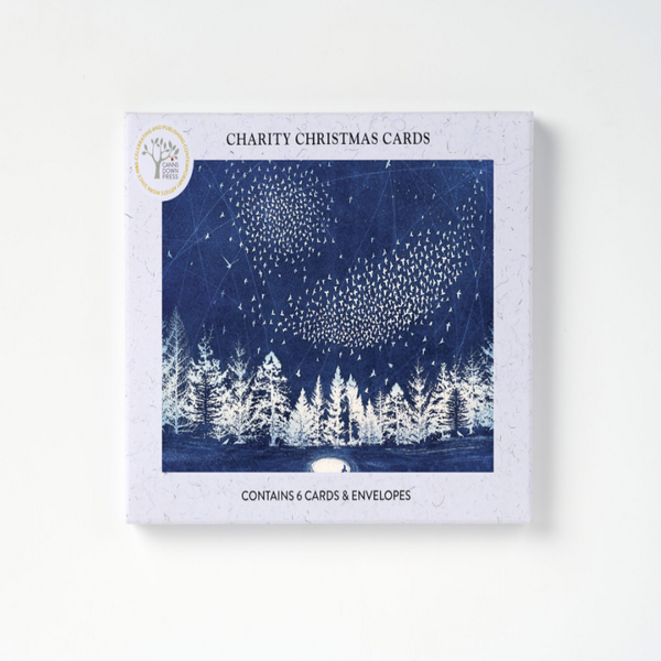 The Starry Messenger Charity Pack of 6 Christmas Cards