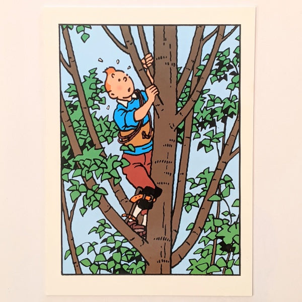 Up A Tree Tintin Card