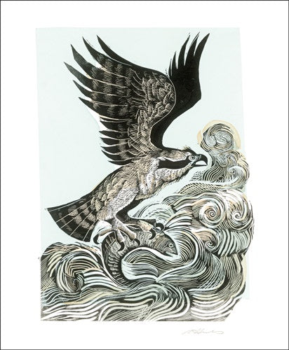 Osprey Card by Angela Harding