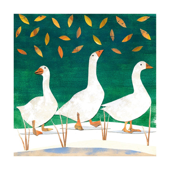 Snow Geese Card Pack