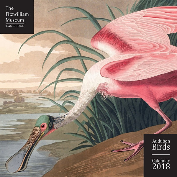 Fitzwilliam Museum - Audubon Birds Wall Calendar 2018