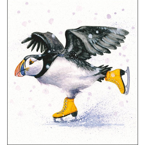 Skating Puffin Charity Card Pack