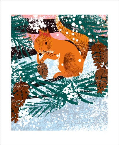 Winter Squirrel Illustration By Tim Hopgood Card