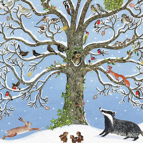 Rspb store christmas cards