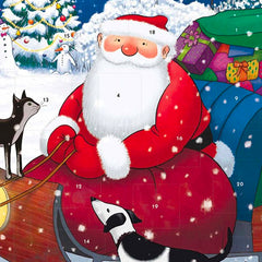 Father Christmas With Cat and Dog Advent Calendar