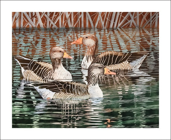 Greylags Card