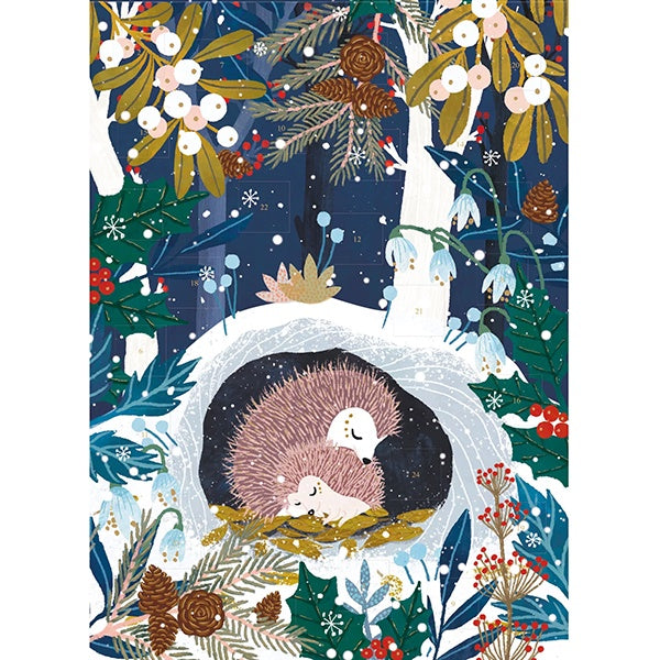 Wild Wood Hideaway Advent Calendar