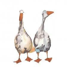 Wendy and Grace Duck Card by Catherine Rayner