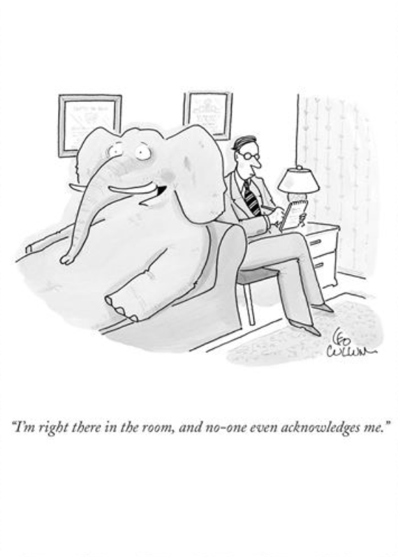 The New Yorker Elephant In The Room Card