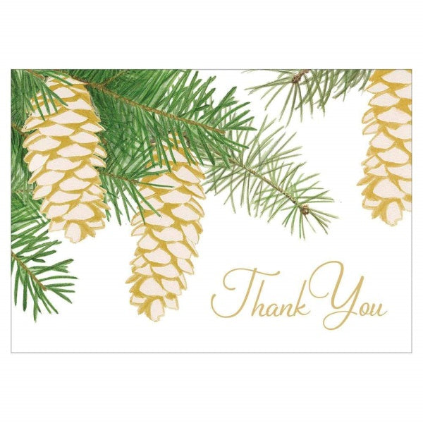 Pinecones Pack Of Thank You Cards Paper Tiger