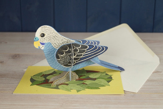 Pop-Out Pets Budgie Card