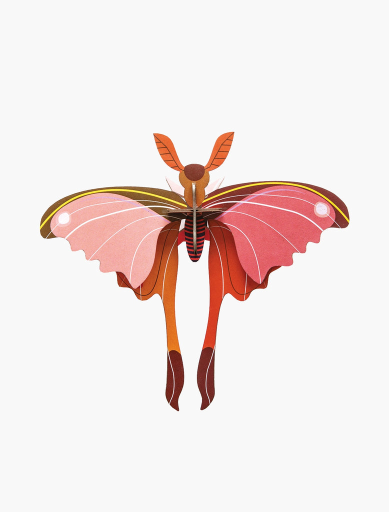 Pink Comet Butterfly Wall Decoration