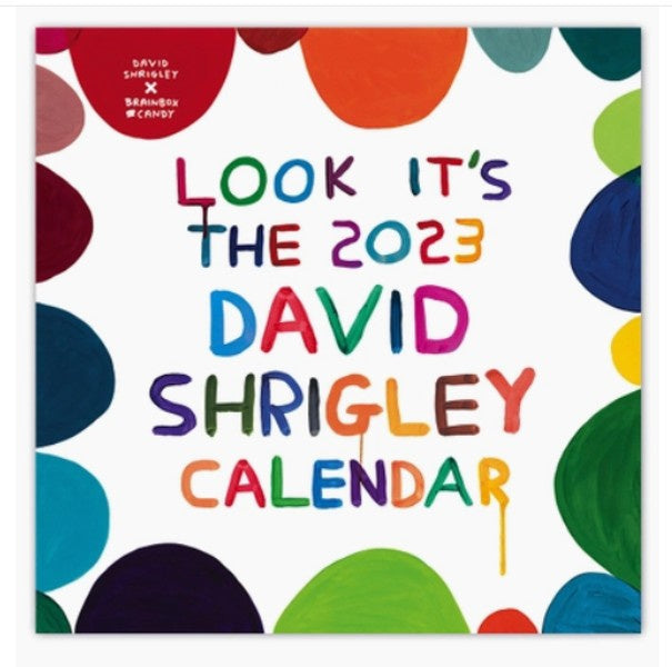 David Shrigley 2023 Wall Calendar Paper Tiger