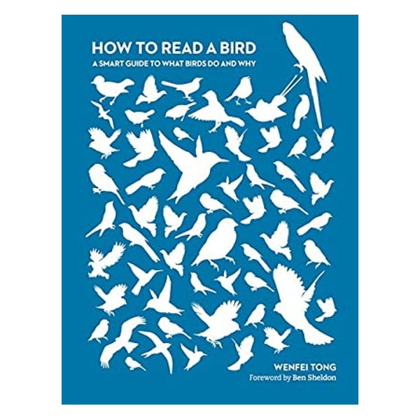 How To Read A Bird