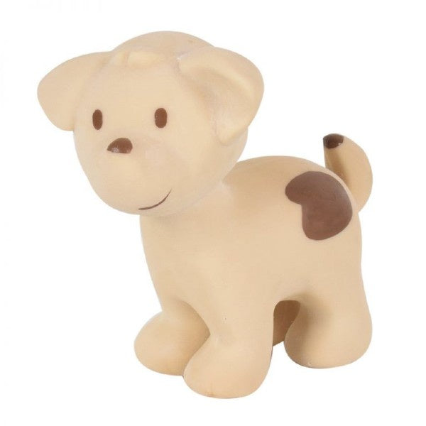 Dog Rubber Rattle and Bath Toy