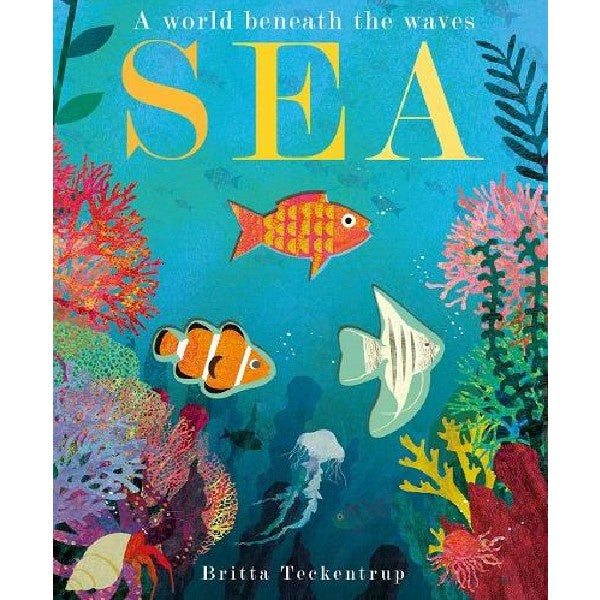 Sea: A World Beneath The Waves