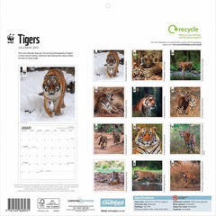 Tigers WWF 2023 Wall Calendar