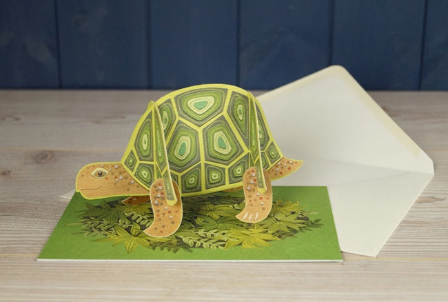 Pop-Out Pets Tortoise Card