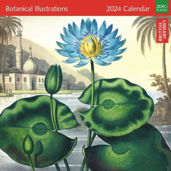 Botanical Illustrations 2024 Wall Calendar Paper Tiger   Botanical Illustrations1 1024x1024 