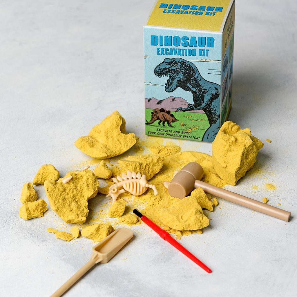 Dinosaur Excavation Kit