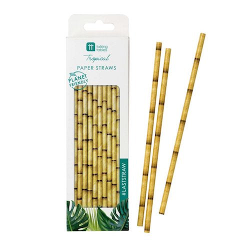 Tropical Fiesta Paper Straws