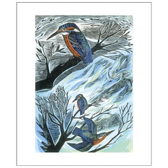 Suffolk Kingfishers Angela Harding Card