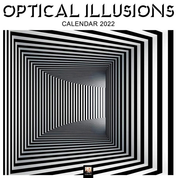 Optical Illusions Wall Calendar 2022 Paper Tiger