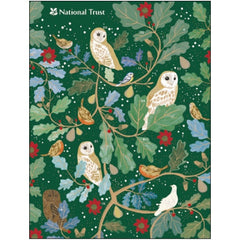 Owls in Winter Advent Calendar