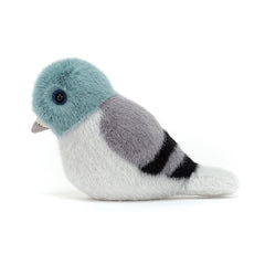 Birdling Pigeon