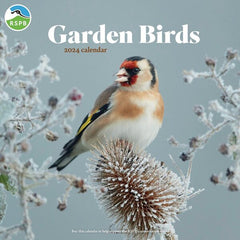 RSPB Household Planner Wall Calendar 2024