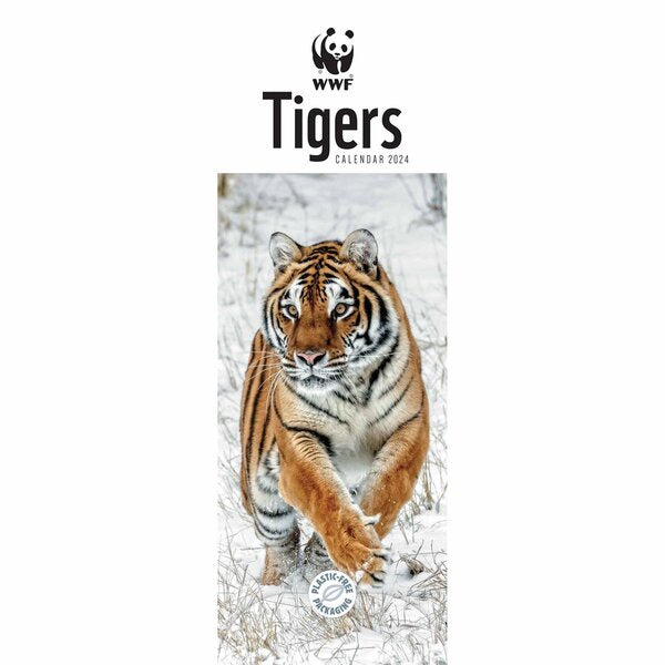 WWF Tigers Slim Calendar 2024 Paper Tiger