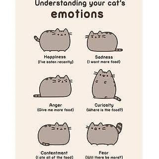 Pusheen Understanding Emotions Card