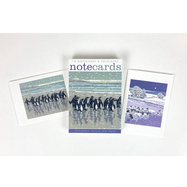 Snowy Beach Kings and Flocks by Night Box of Ten Cards